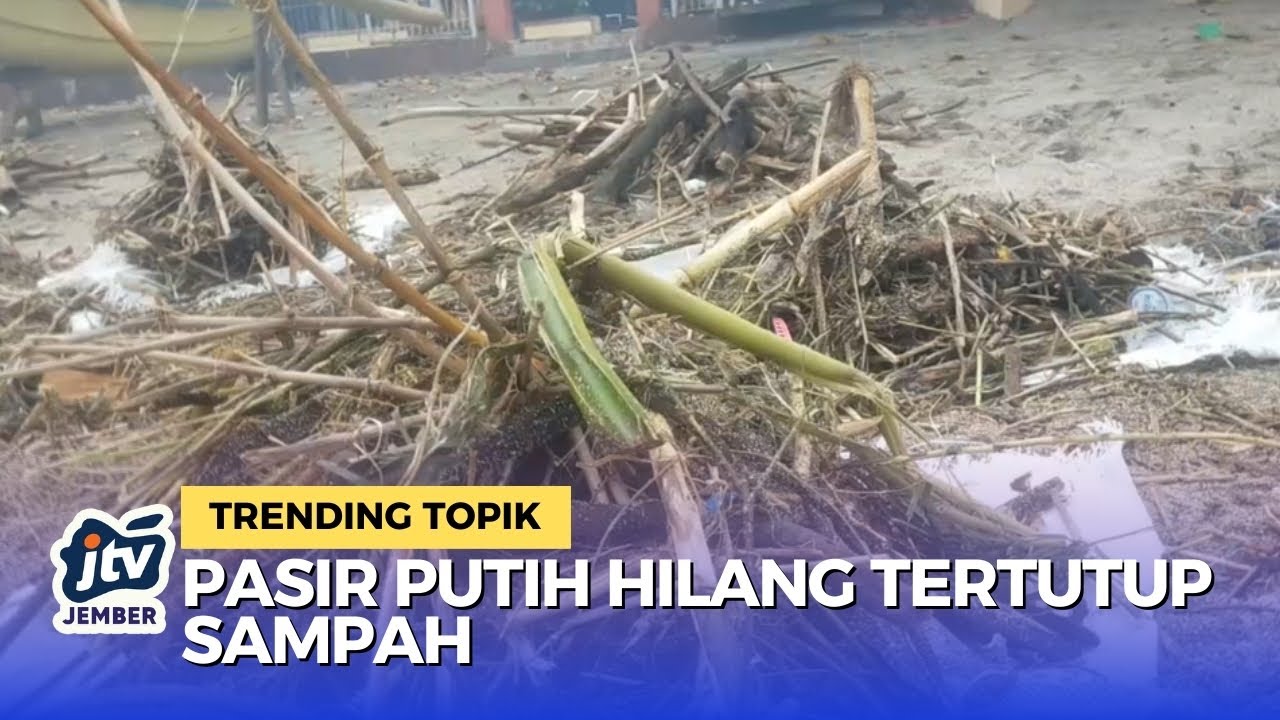 Pasir Putih Situbondo Terpungung Sampah, Warga Turun Tangan!