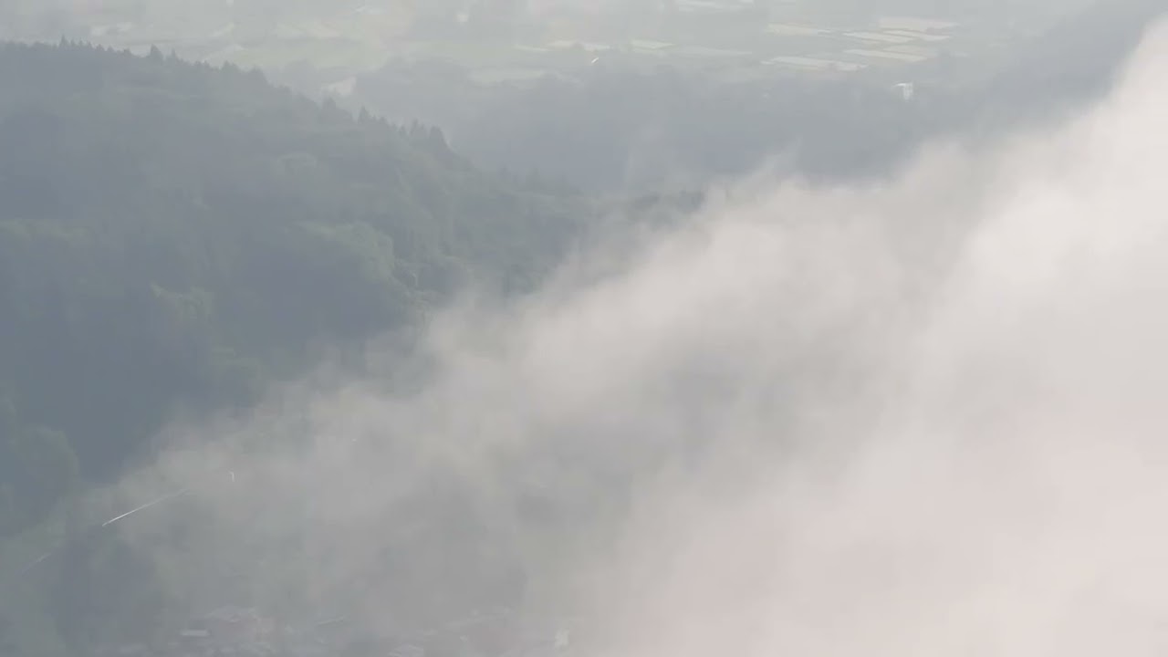 185系C1編成・廃車回送・霧の中へ　DSC 2761