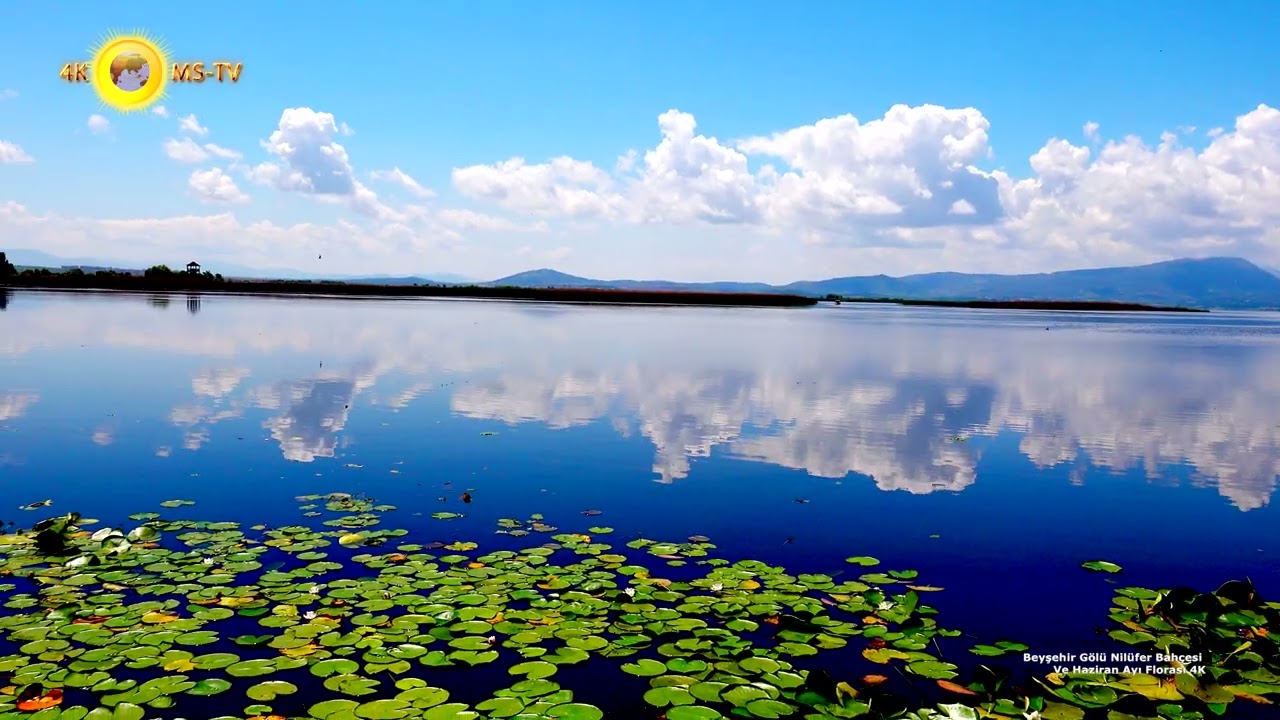 Beyşehir Gölü Nilüfer Bahçesi Ve Haziran Ayı Florası Belgesel 4K
