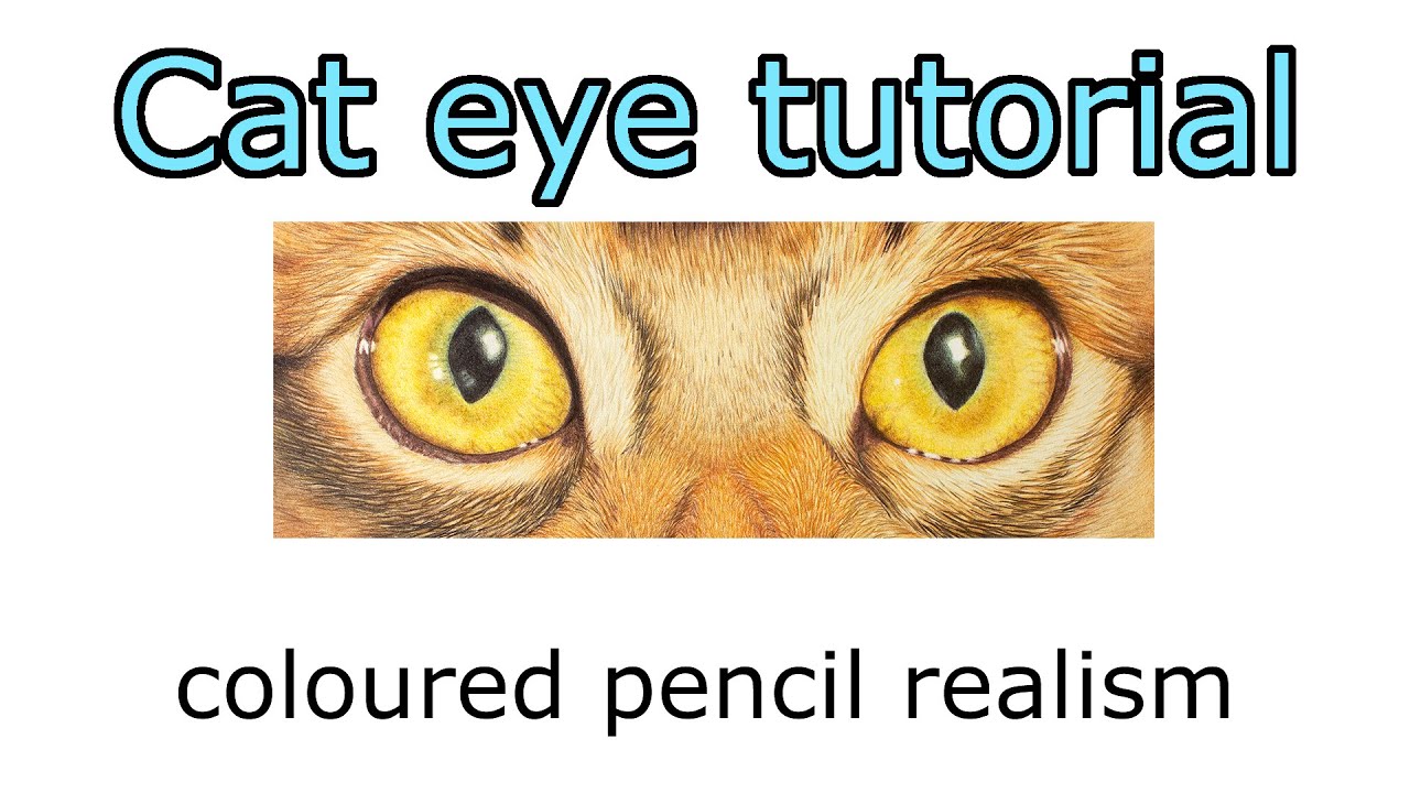 CAT EYE TUTORIAL - How to draw a cat's eye with coloured pencil. Polychromos and Derwent Drawing.
