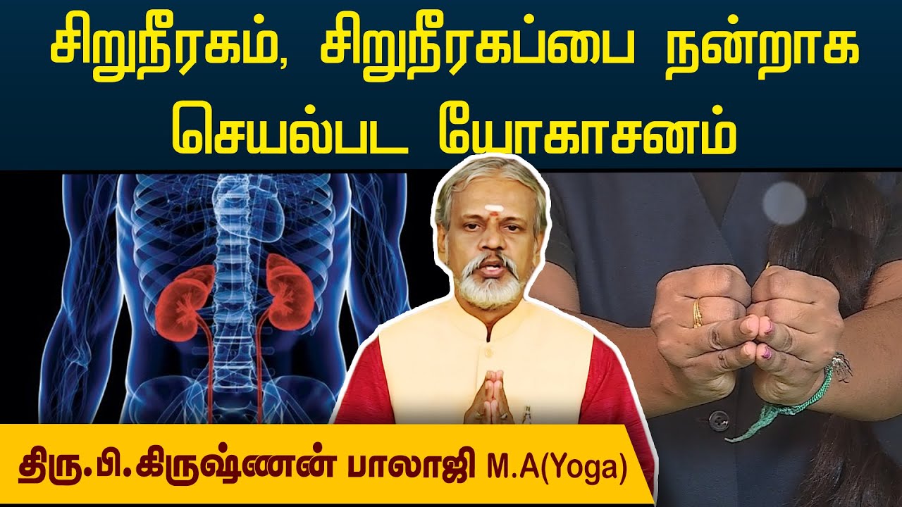 சிறுநீரகம், சிறுநீரகப்பை நன்றாக செயல்பட யோகாசனம் | Krishnan Balaji | Degam Sirakka Yogam |