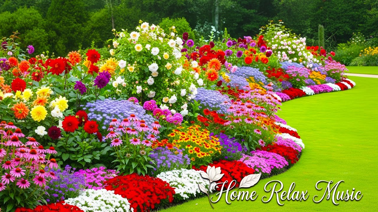 Peaceful Morning Garden 🌿 Relaxing Piano Music for Stress Relief & Positive Energy