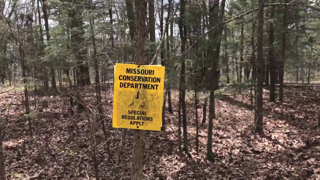 6 Acre bordering Conservation Area in the Missouri Ozarks for $1,500 down!