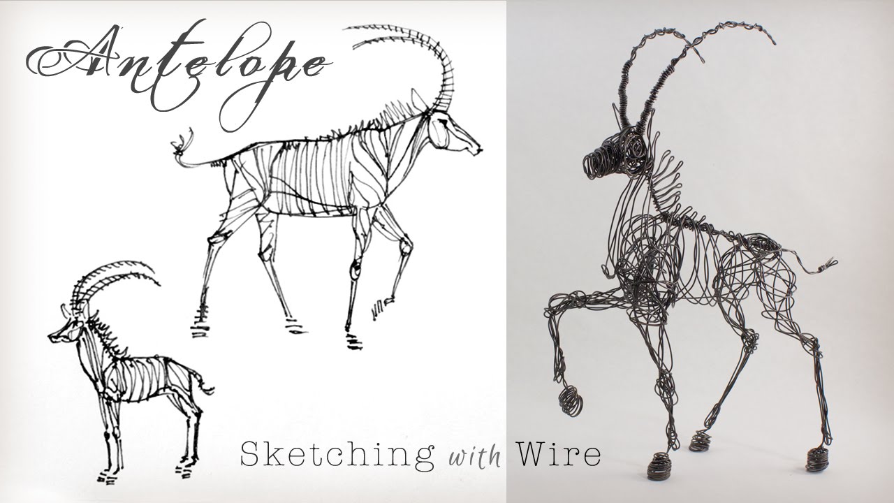 3-D Wire Sculpture with a single line of Wire by Suzanne Moulton