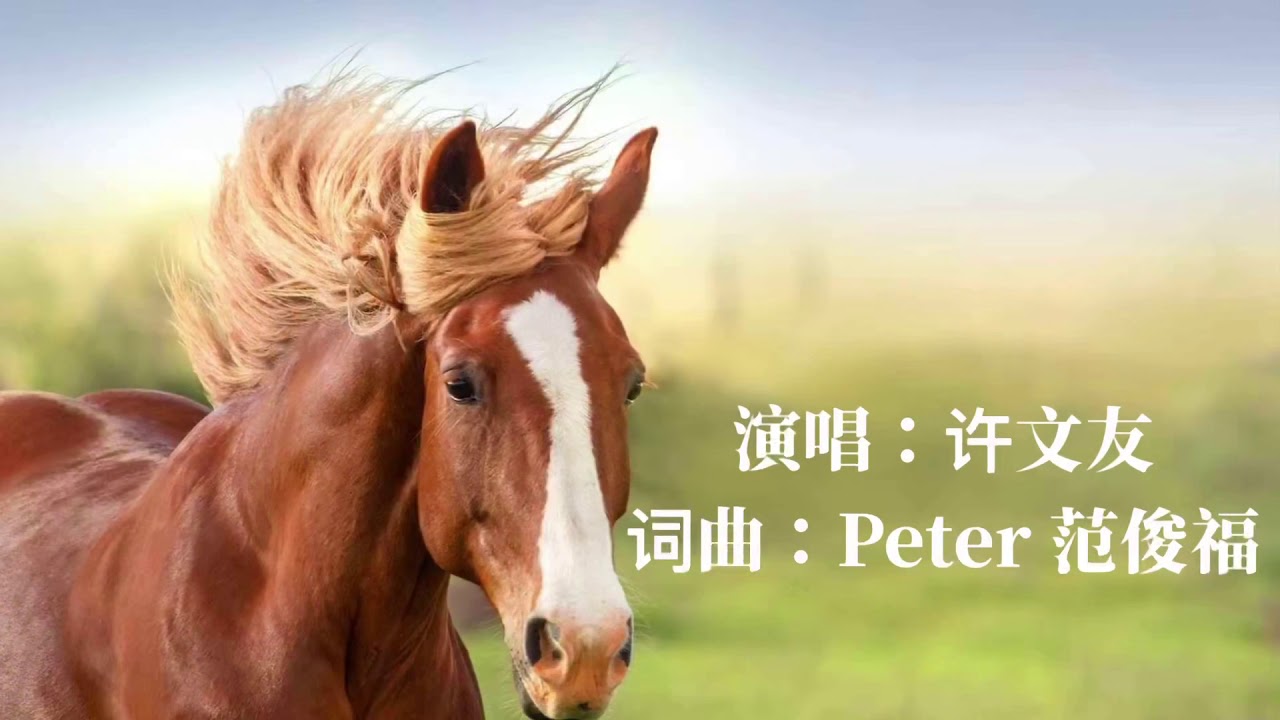 【神奇的马】许文友