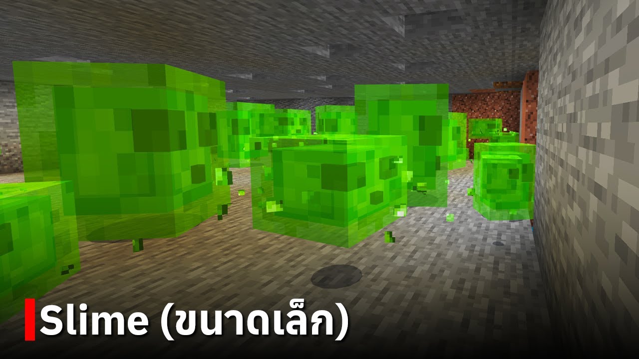 สอนสร้างฟาร์ม Slime (ขนาดเล็ก) ใน Minecraft Bedrock Edition 1.20