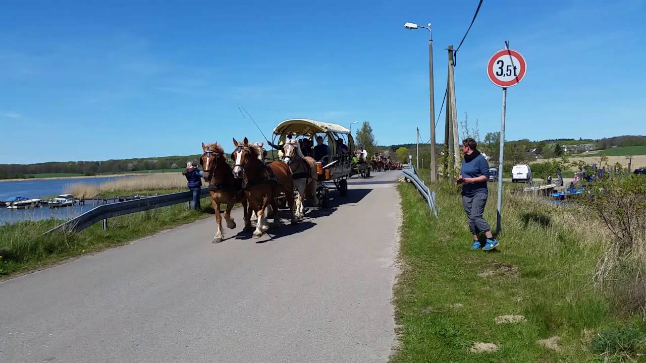 Rügener Gespannfahrer