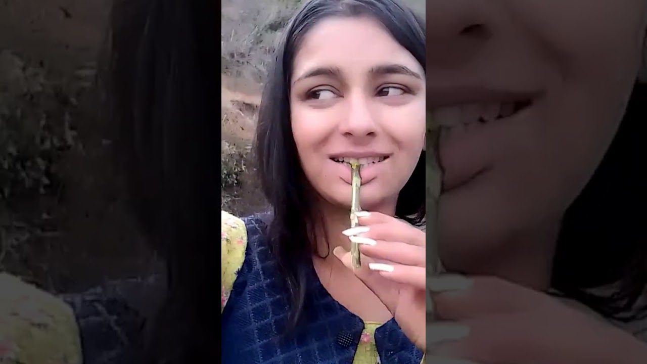 आज हम लोग गए शुईटालू लाने काफी दुर और फिर भि कुछ नहीं मिला काफी ज्यादा छोटे छोटे थे🏝️# funny #pahari