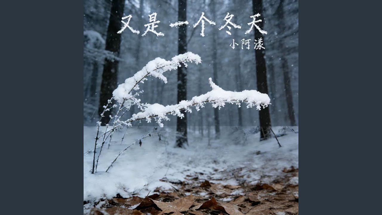 又是一个冬天