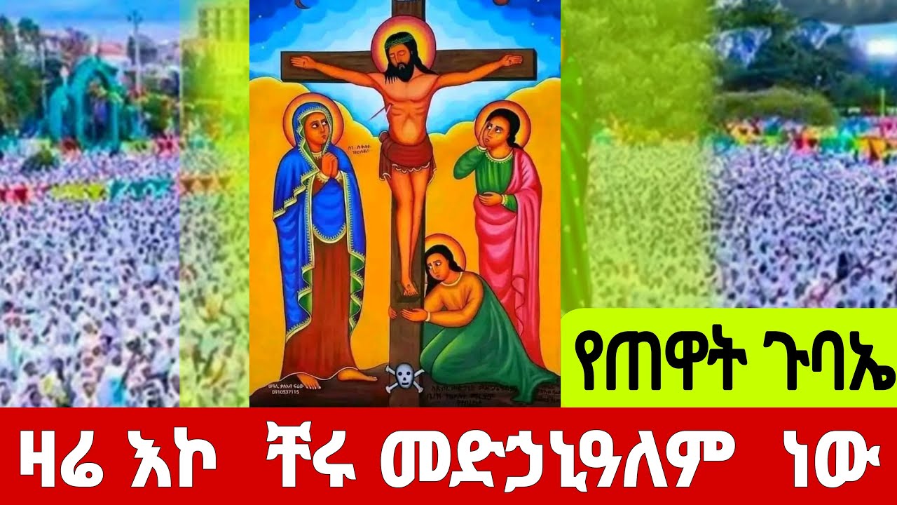 🛑LIVE   #ዛሬ እኮ  ቸሩ መድኃኒዓለም  ነው