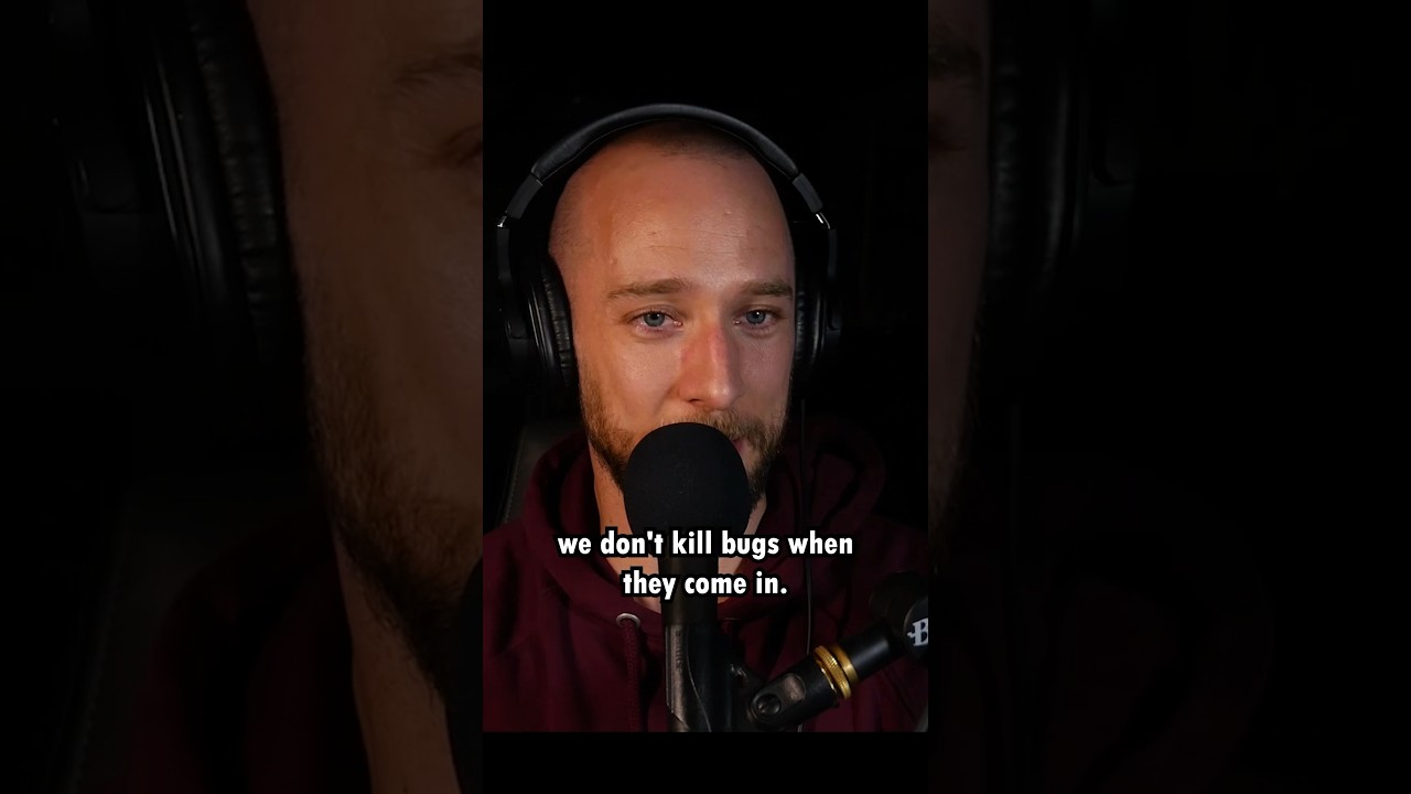 Why I don’t KILL BUGS