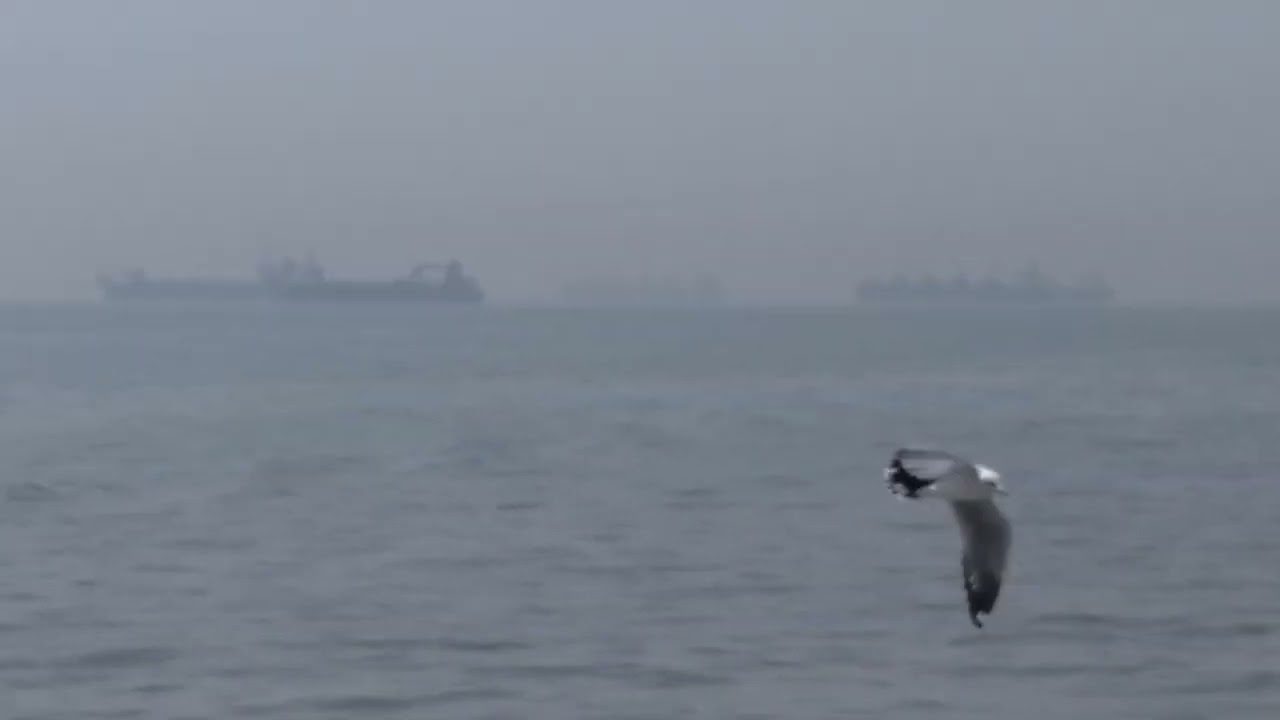 Mumbai harbor full of cargo vessel