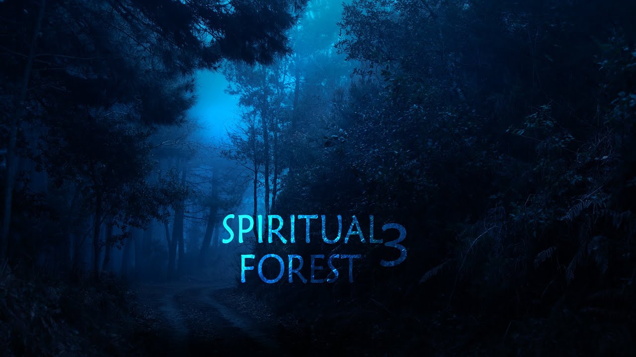 Spiritual Forest 3: Atmospheric Nature Journey | Immersive  Ambient