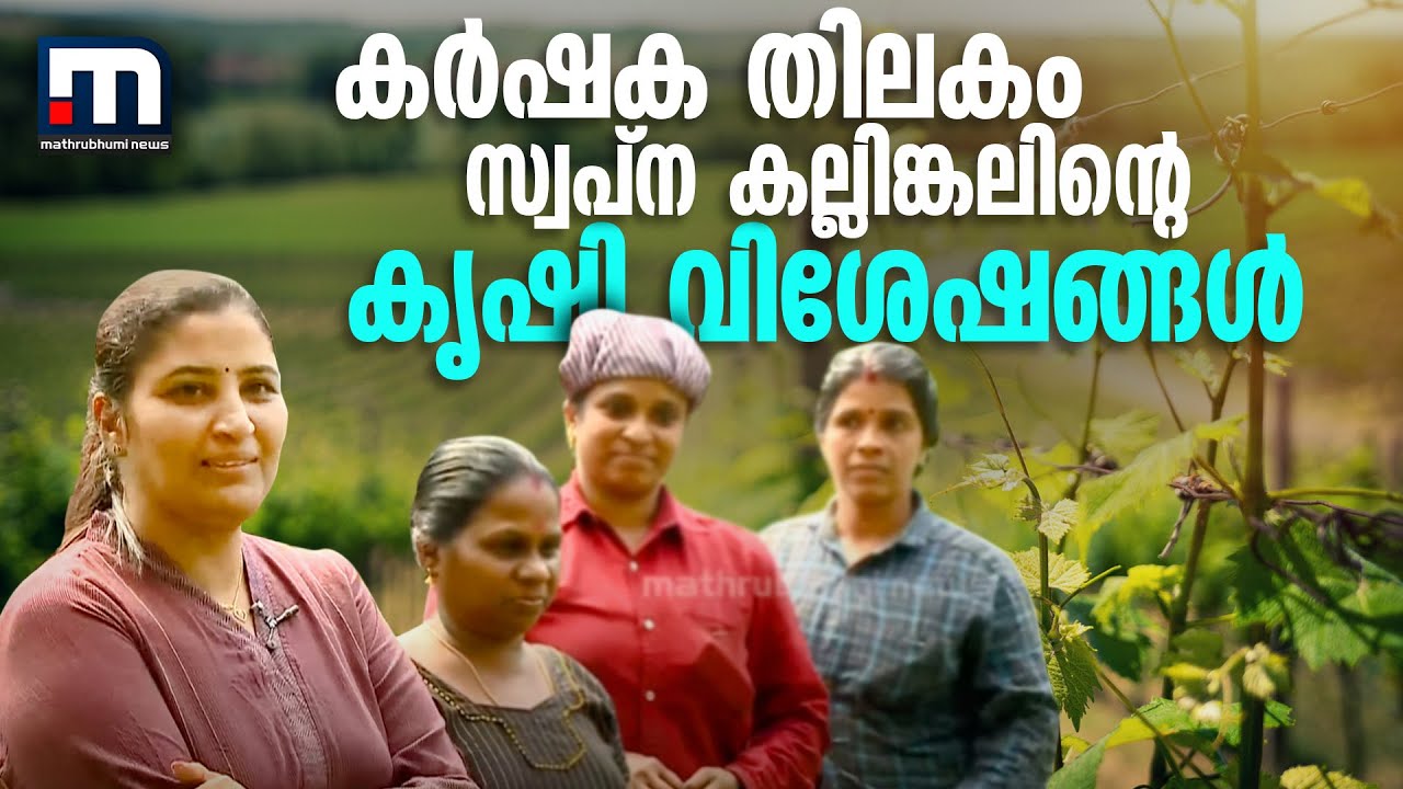 കർഷക തിലകം സ്വപ്ന കല്ലിങ്കലിന്റെ കൃഷി വിശേഷങ്ങൾ - കൃഷിഭൂമി| Mathrubhumi News