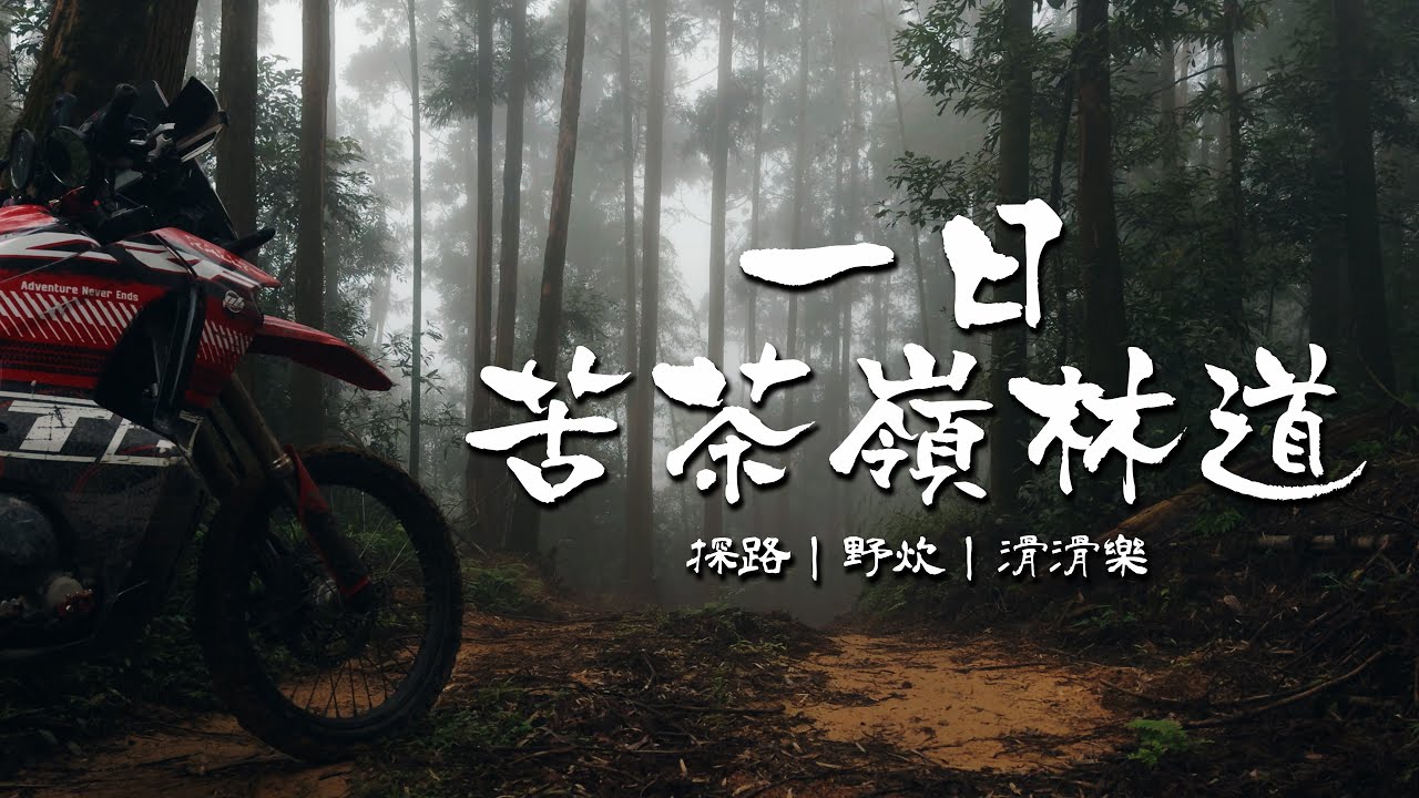 一日苦茶嶺林道，騎進下完雨雲霧繚繞的森林仙境！｜Loot2魯特