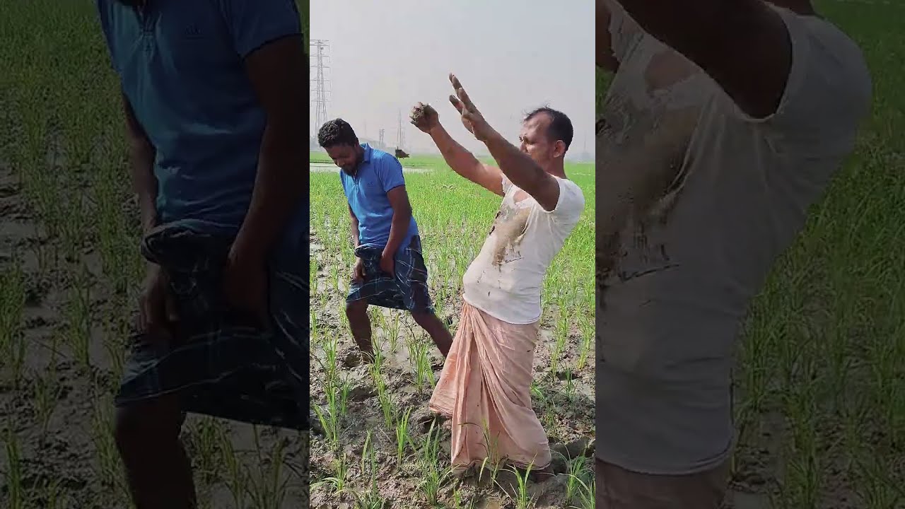 লাউ মার্কায় ভোট চাই 🤣 | নির্বাচনী প্রচারণার ফানি ভিডিও | না হাসলে মিস!