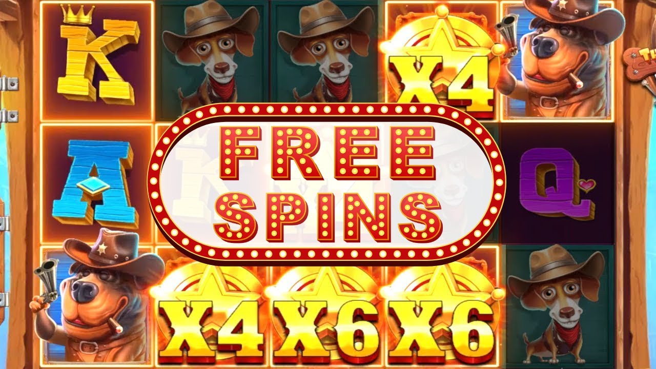 $100.000 BONUS OPENING at The Dog House &ndash; Dog or Alive #bonusopening #thedoghouse