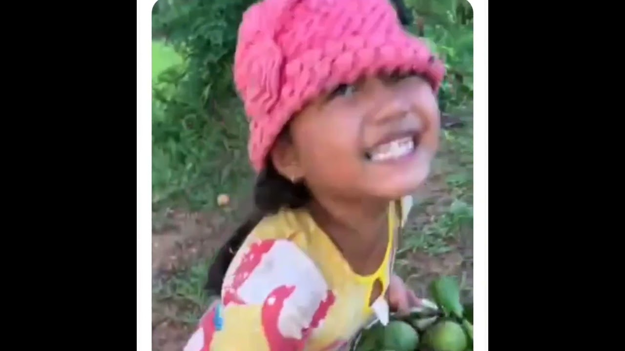 កំផ្លោធ្វើចំណីទាRemove duck pellets to feed ducks