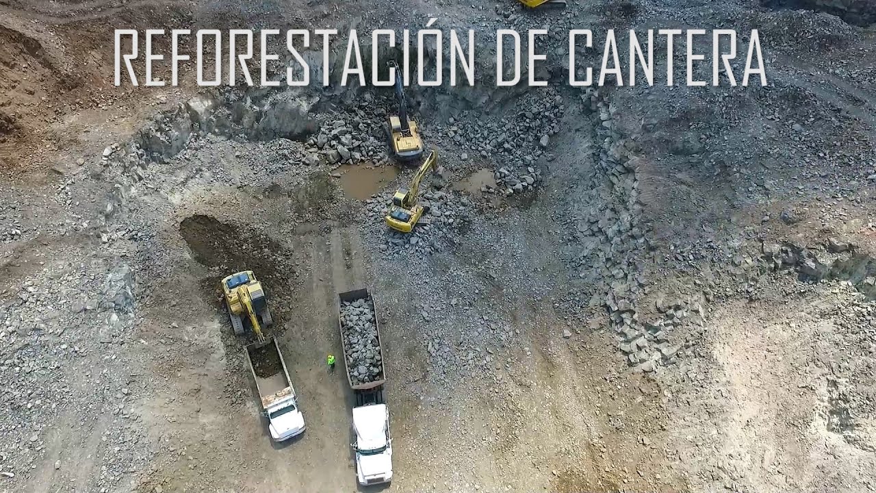 INCREIBLE REFORESTACIÓN EN CANTERA