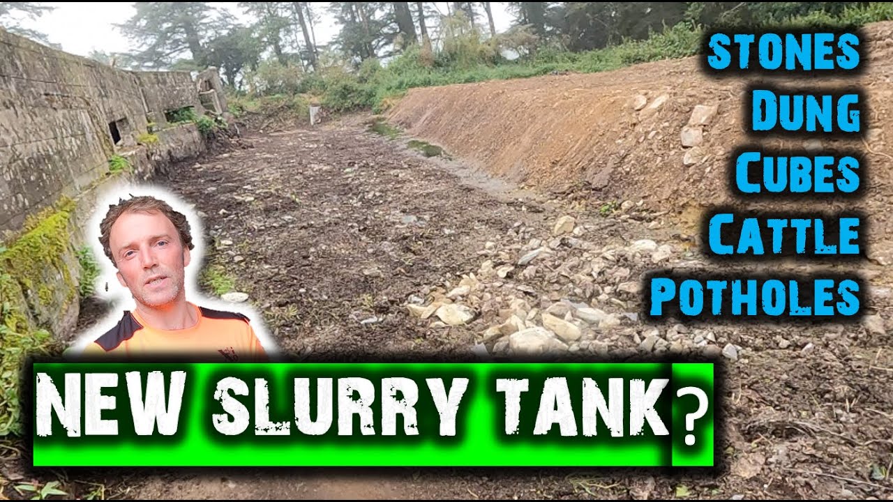 New slurry tank, picking stones, cleaning out dung, setting up cubes, and  cattle weighing well