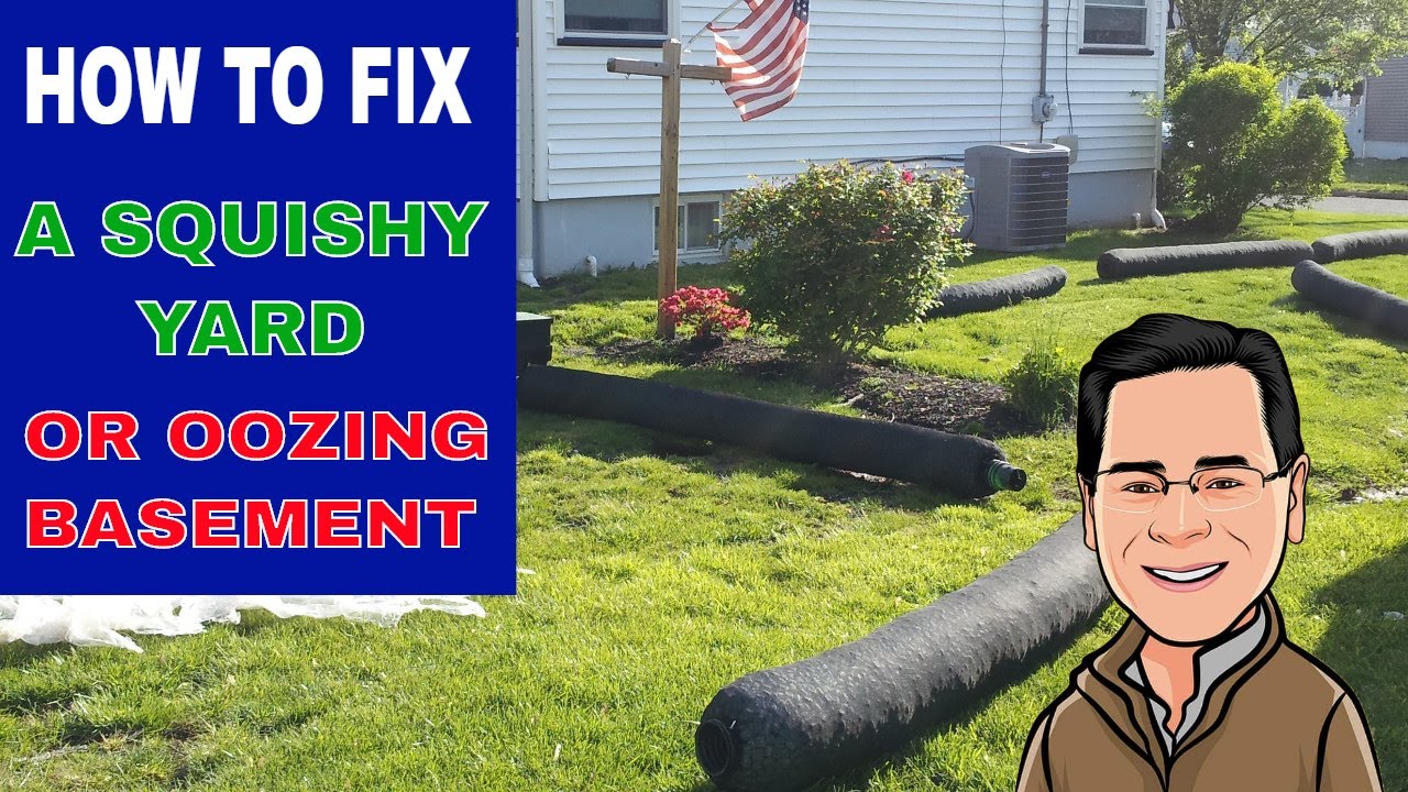 How to Fix a Wet Muddy Yard or Web Basement