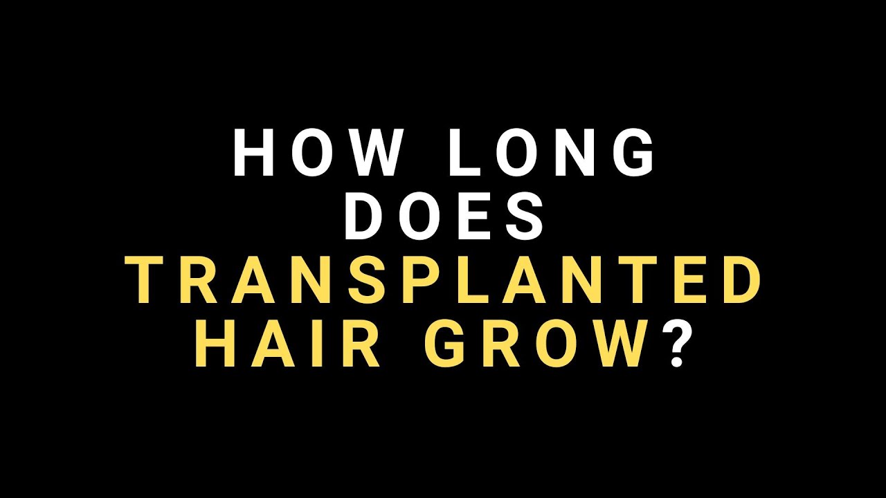 How Long Does Transplanted Hair Grow after a Hair Transplant? (Body Hair and Scalp Hair)