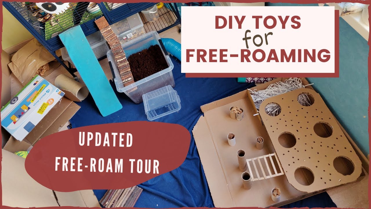 DIY Toys for Free-Roam Area + Updated Free-Roam Tour // make your own pet toys | DIY Pets & Life