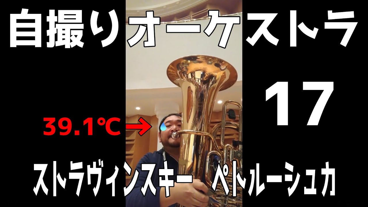 ペトルーシュカ・・・39.1℃、高熱との闘い