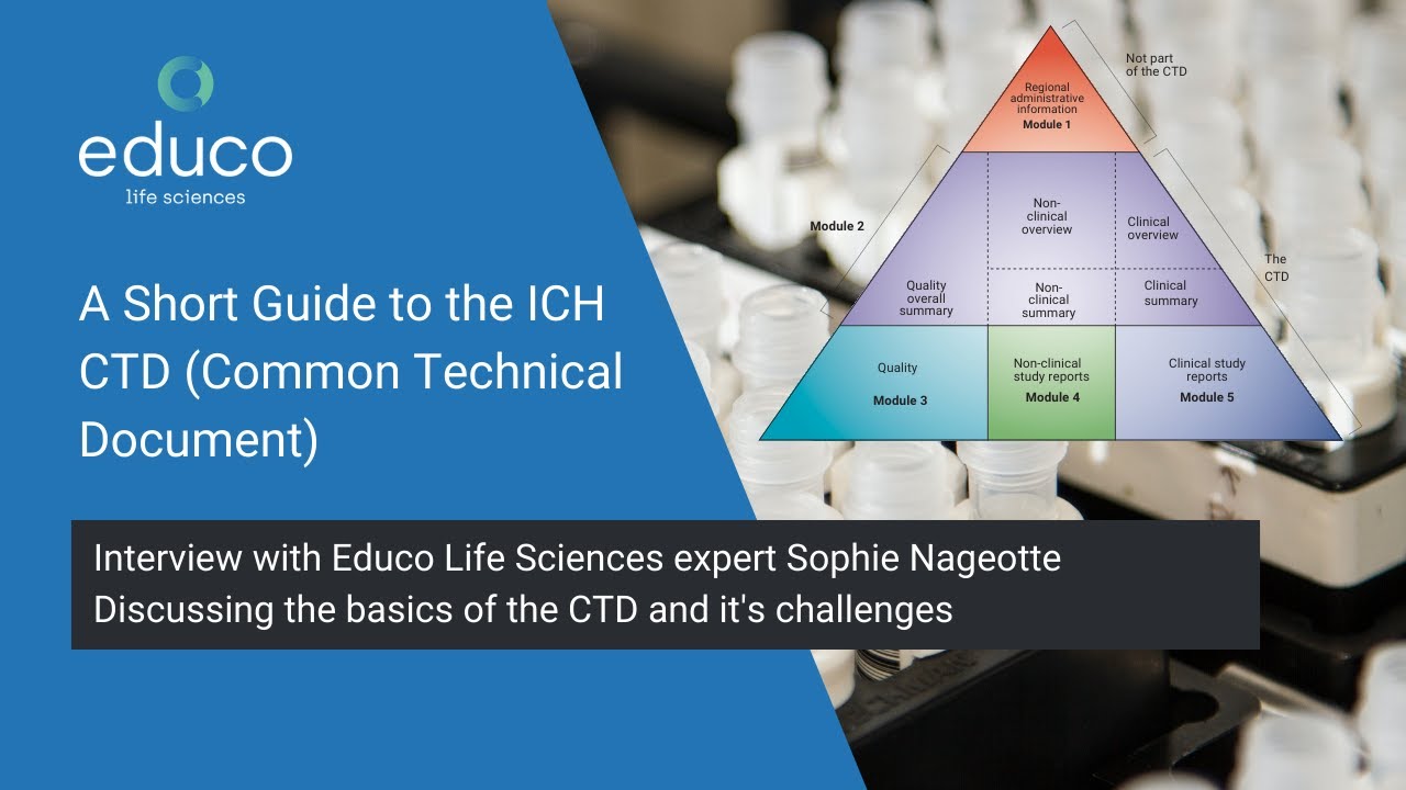 A Short Guide to the ICH CTD (Common Technical Document)