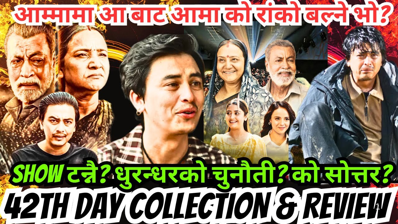 आम्मामा आ बाट आमा को रांको बल्ने भो? Show टन्नै? धुरन्धरको चुनौती? को सोत्तर? 42th Day Collection