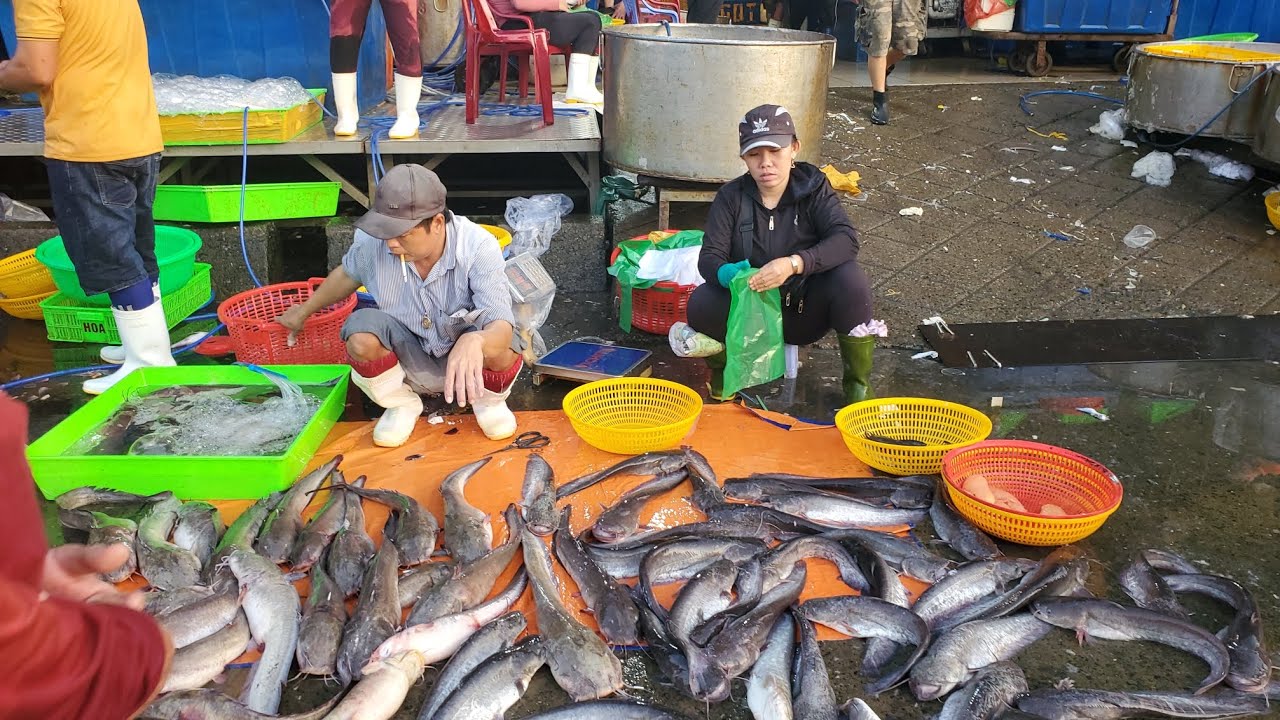 Chợ đầu mối bình điền sáng thứ ba cá ngát 50k cá biển 40k cá phi 30k 