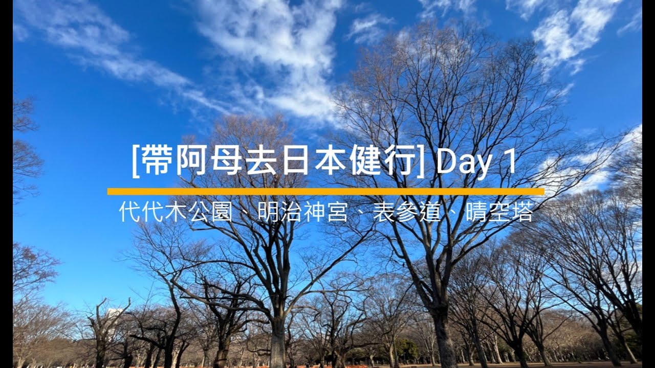 [帶阿母去日本健行] Day 1 代代木公園、明治神宮、表參道、東京晴空塔