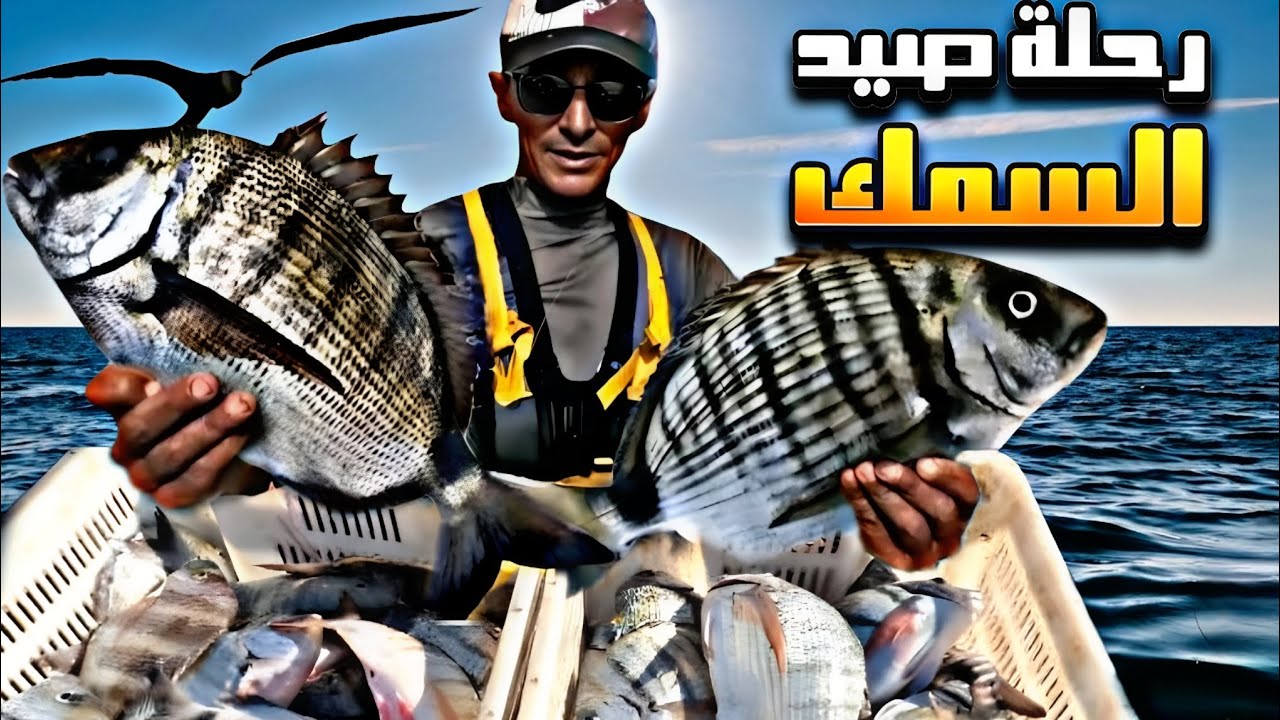 24 فبراير 2026