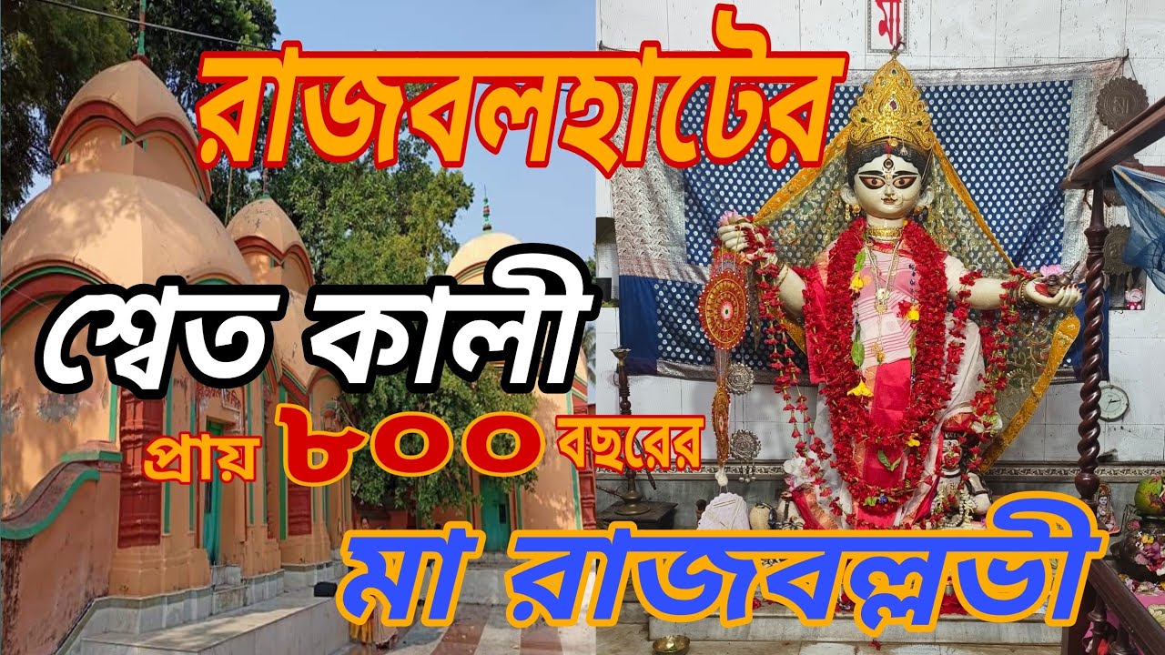 Maa Rajballavi । Rajballavi Mandir Rajbalhat । ৮০০ বছরের পুরনো শ্বেত কালী মন্দির।