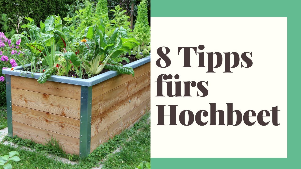8 Tipps f&uuml;r ein langlebiges Hochbeet und einen mehrj&auml;hrigen Ernteerfolg
