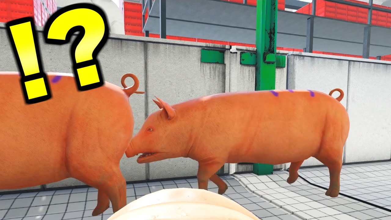 ”豚の出荷シミュレーター”とかいうゲームがヤバすぎるｗｗｗ