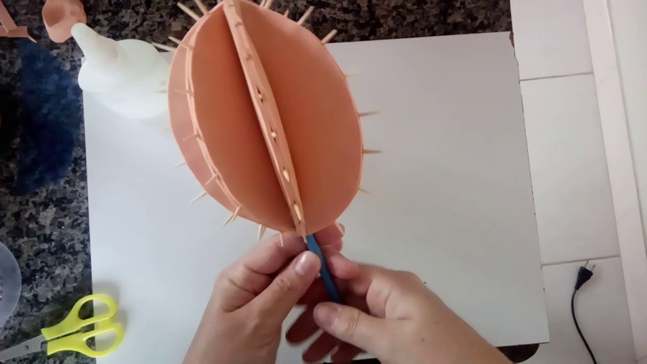 Cactos em eva sem frisador!!!