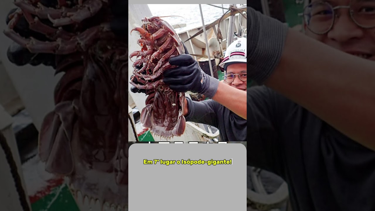 TOP 10 ISÓPODES MAIS PERIGOSOS DO OCEANO 