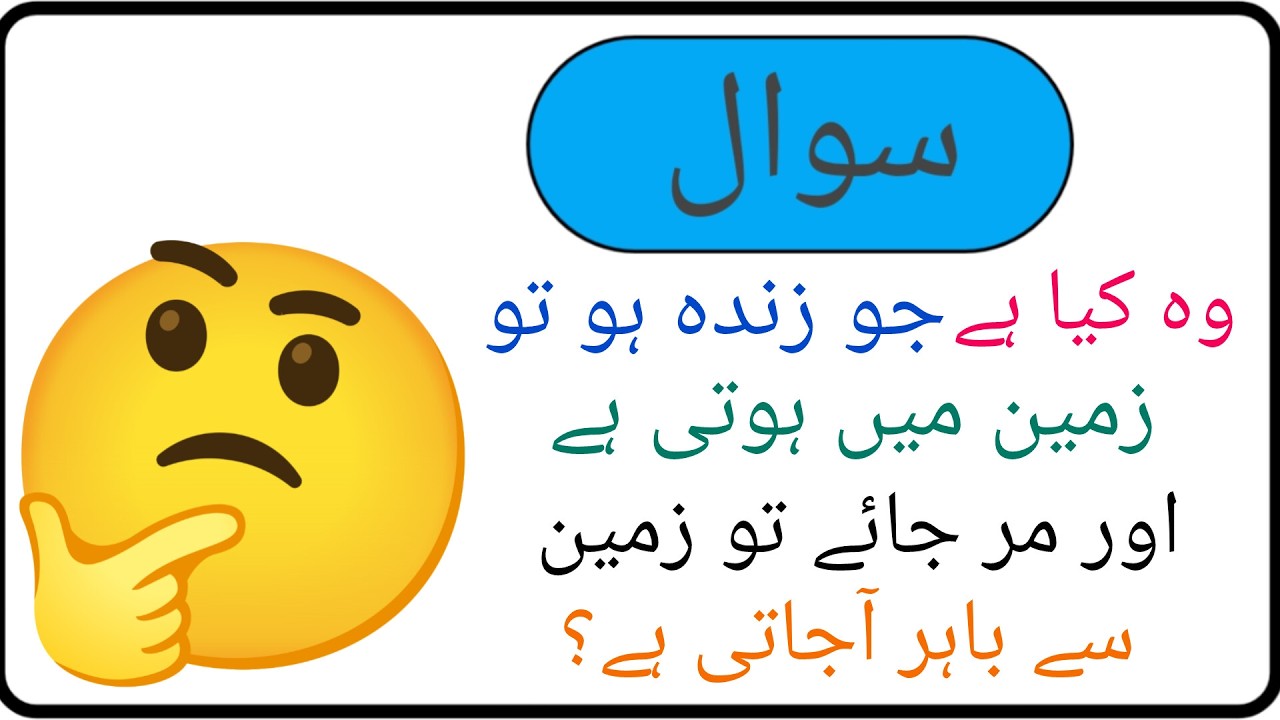 Top 10 paheliyan l urdu riddles l only 1percent answer these riddles