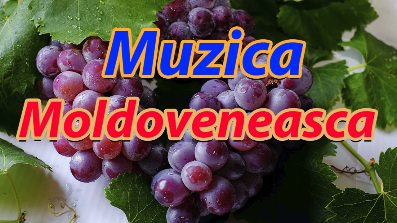 Drag mii cerul alb cu mii de stele și păm&acirc;ntul pentru toate cele  Muzica MD