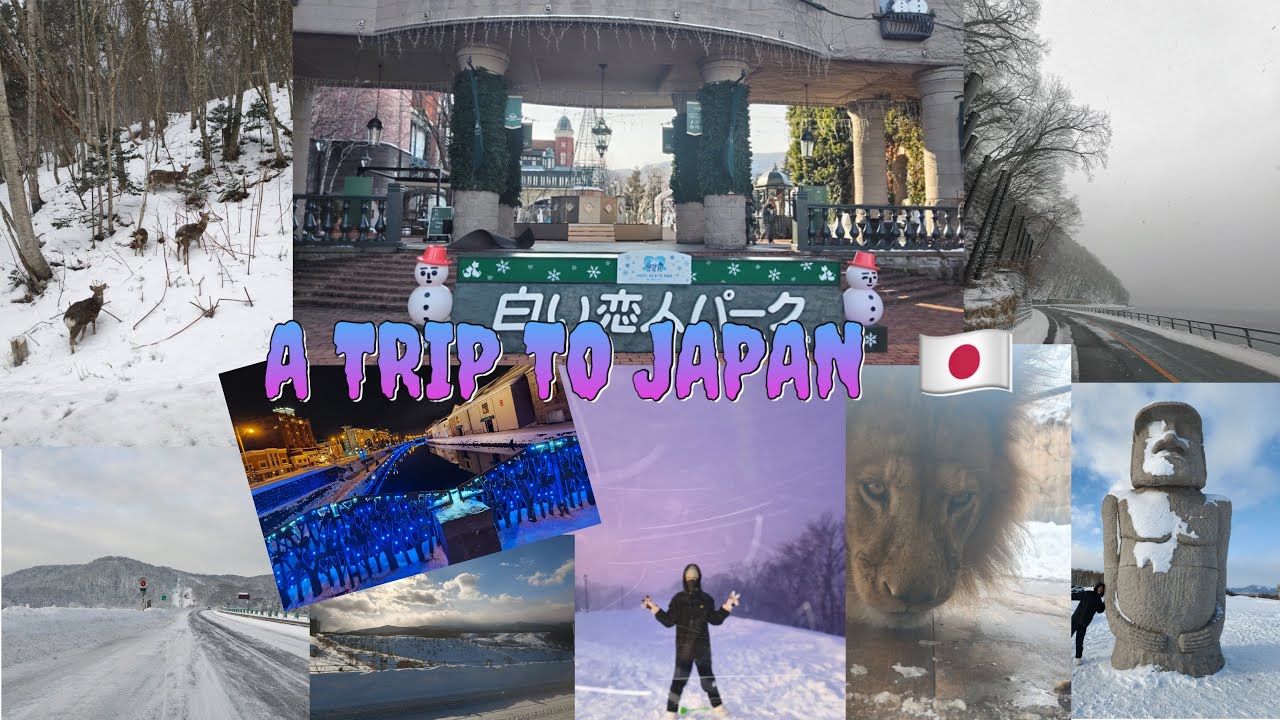 A Week in Japan 🇯🇵 | Simple Travel Vlog