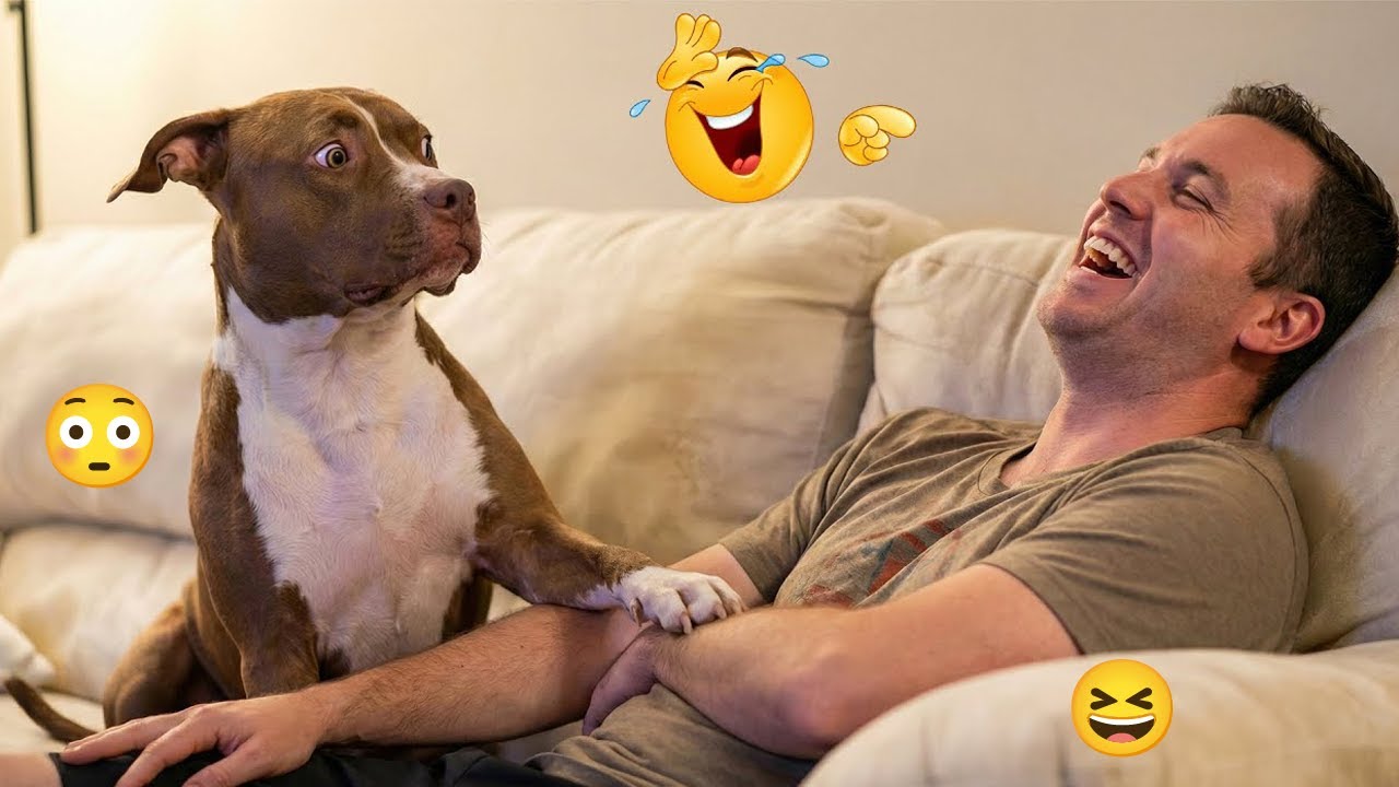 These Dogs Are Out of Control 😂 Funniest Dog Moments 2026 #20