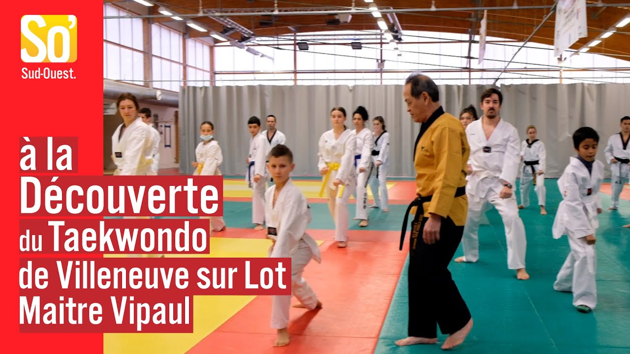 Interview Maître Vipaul #taekwondo #amazing #stage
