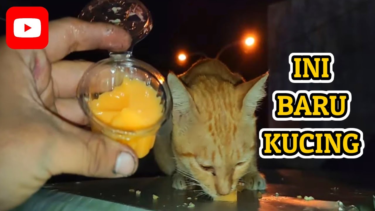 OYEN MAKAN TAKJIL⁉️