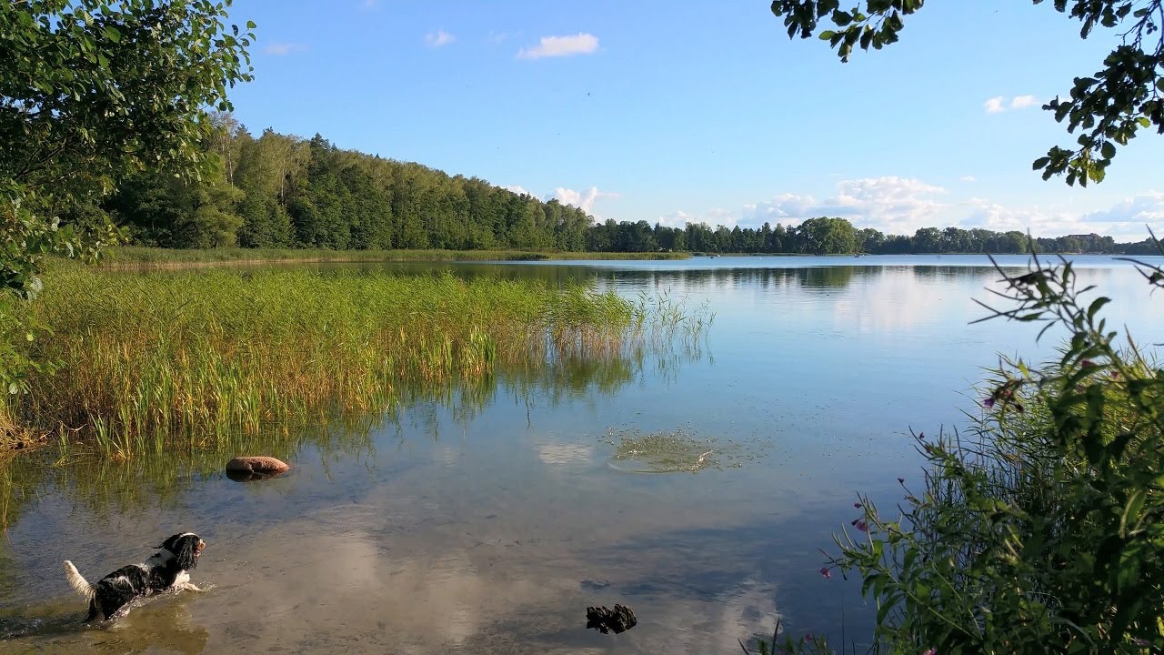 [Mazury / Ryn] Spacer nad jeziorem
