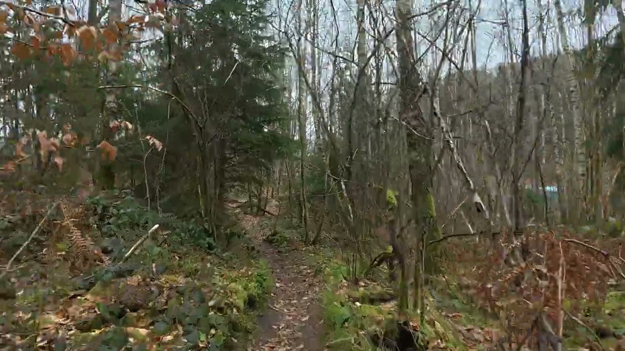 45 minute MTB Trail Indoor Cycling Workout Saarland Strava Data 4K Video