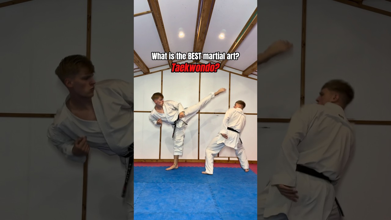 What is the BEST martial art?