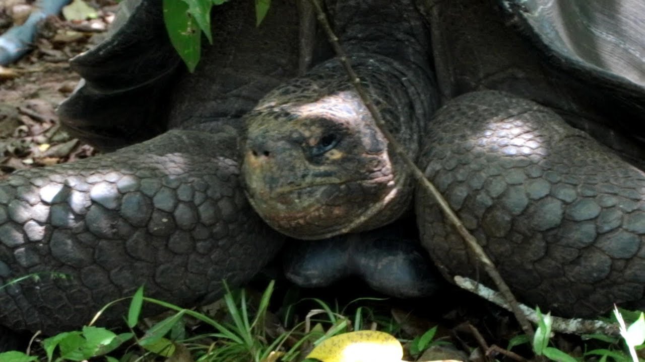 SVSKY57-Galapagos-Isla San Christobal
