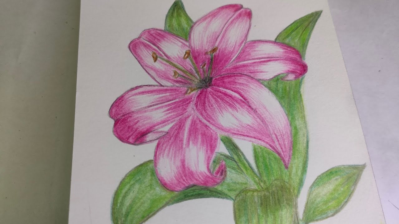 Flower 🌺 live drawing 