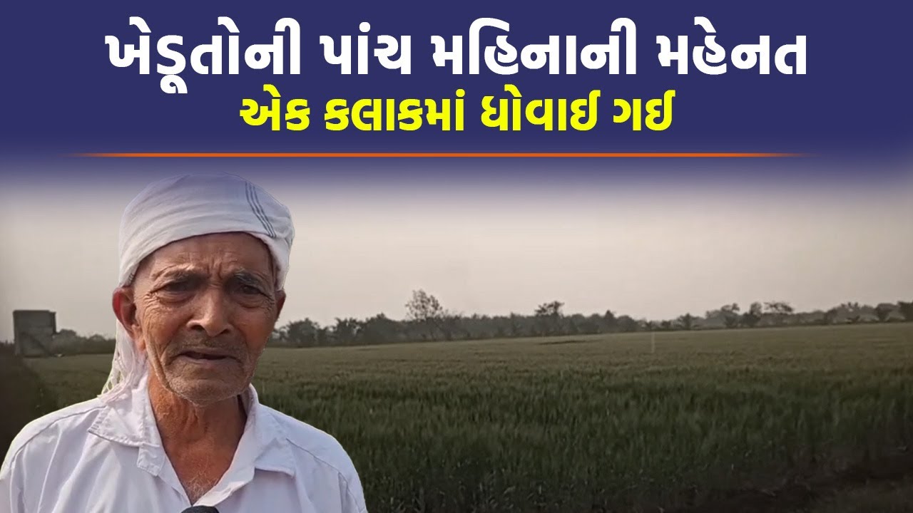Gir Somnath માં કમોસમી વરસાદથી ખેડૂતોની પડ્યા પર પાટુ જેવી સ્થિતિ | Farmers | Rain News |